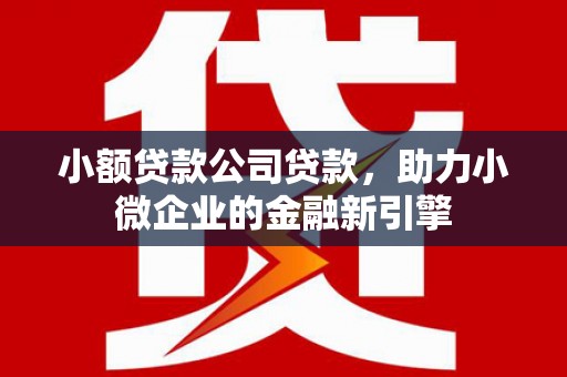 玛家小额贷款公司贷款，助力小微企业的金融新引擎
