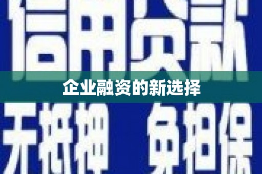 定结企业融资的新选择