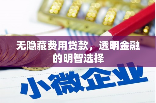 泽库无隐藏费用贷款，透明金融的明智选择