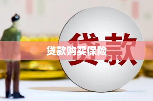 横峰贷款购买保险