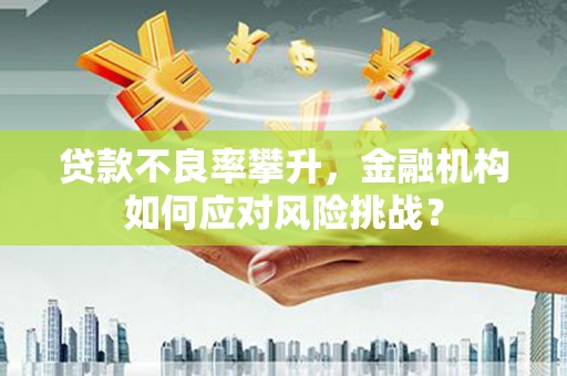 承德贷款不良率攀升，金融机构如何应对风险挑战？