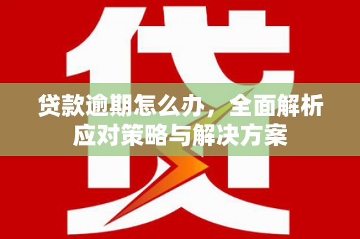 丰原贷款逾期怎么办，全面解析应对策略与解决方案