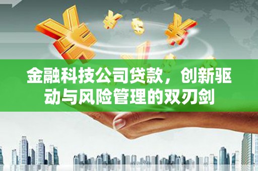 洋县金融科技公司贷款，创新驱动与风险管理的双刃剑